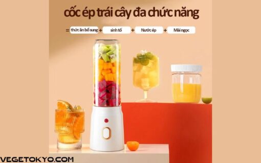 Máy Xay Sinh Tố Cầm Tay 450ML